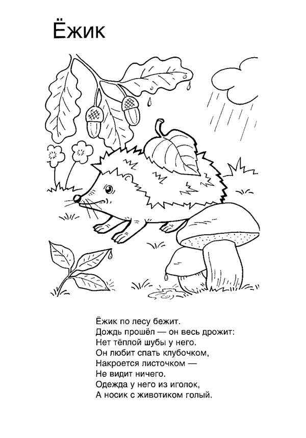 Картинка Ёжика для детей раскраска